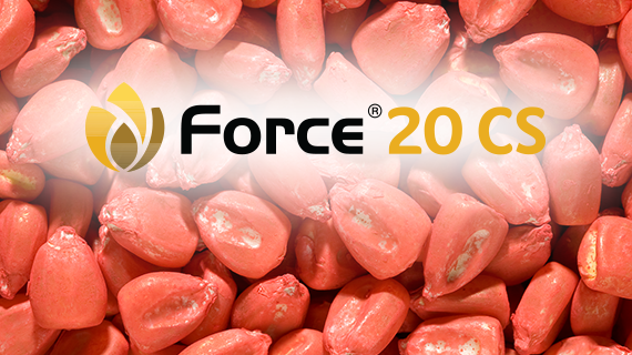 Force 20 CS