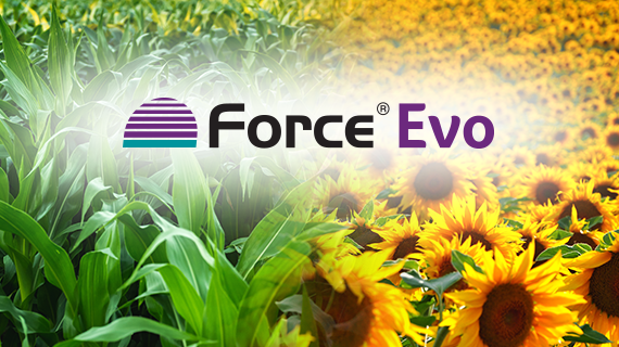 Force Evo