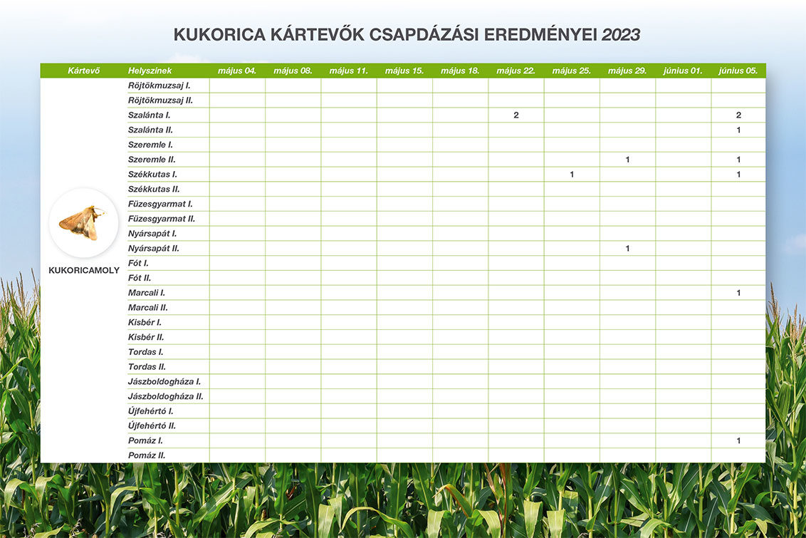 Kukorica kártevők csapdázási eredménye - kukoricamoly - 2023.05.04-6.05.