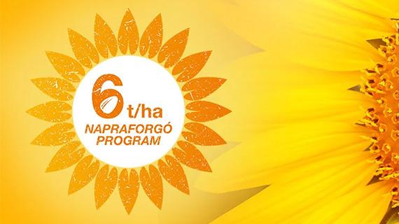 6 t/ha programunk