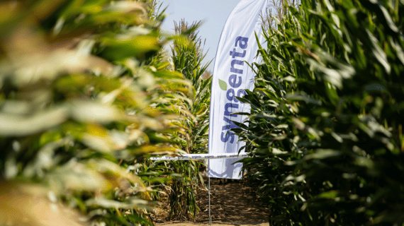 Syngenta termékek