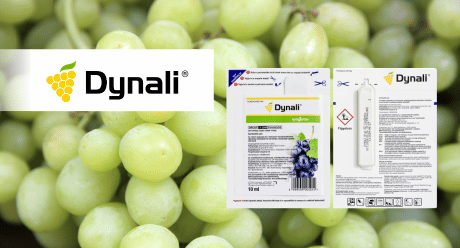 Dynali gombaölő szer