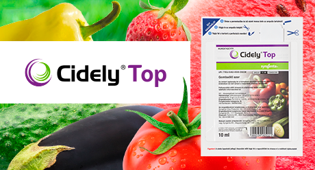 Cidely Top gombaölő szer - Kiskerti megoldások (SPS)