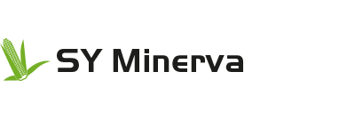 SY Minerva kukorica vetőmag