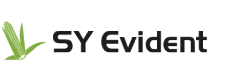 SY Evident kukorica hibrid vetőmag