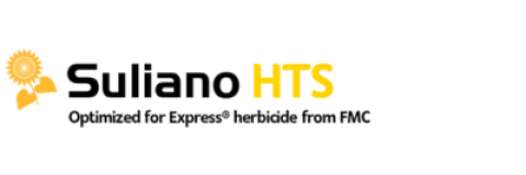 Suliano HTS napraforgó hibrid vetőmag