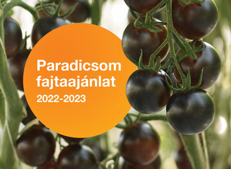 Syngenta Paradicsom fajtaajánlat - 2022-2023 