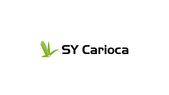SY Carioca kukorica vetőmag