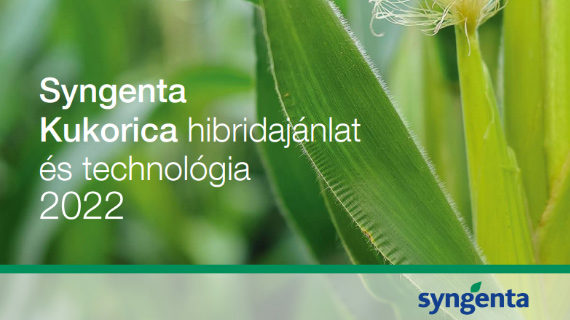 Kukorica hibrid ajánlat és technológia 2022