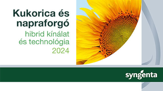 Kukorica és napraforgó hibrid kínálat és technológia - 2024