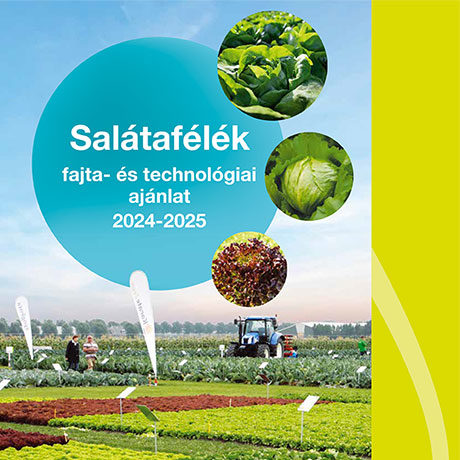 Salátafélék fajta- és technológiai ajánlat - 2024-2025