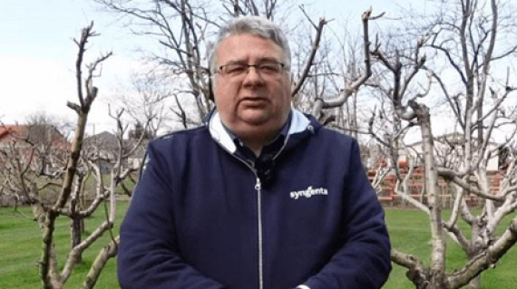Syngenta kiskerti megoldások - Mádi Zsolt