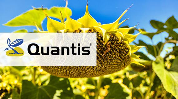 Quantis - Lépjen szintet a gazdálkodásban