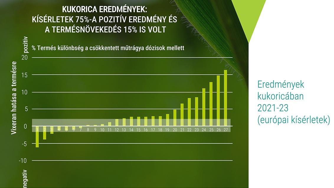 Vixeran kísérlet