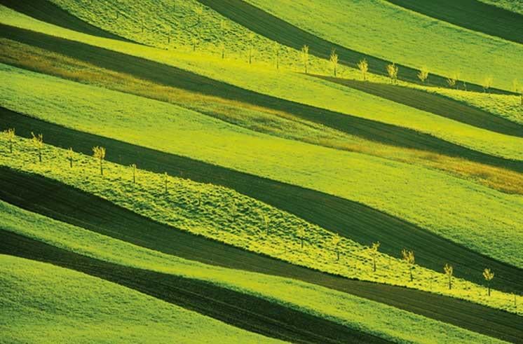 Syngenta növényvédelem