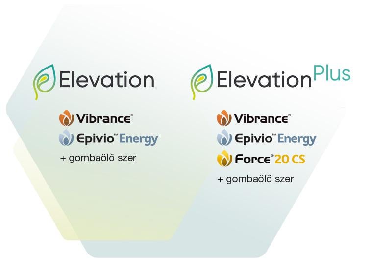 Elevation csávázás