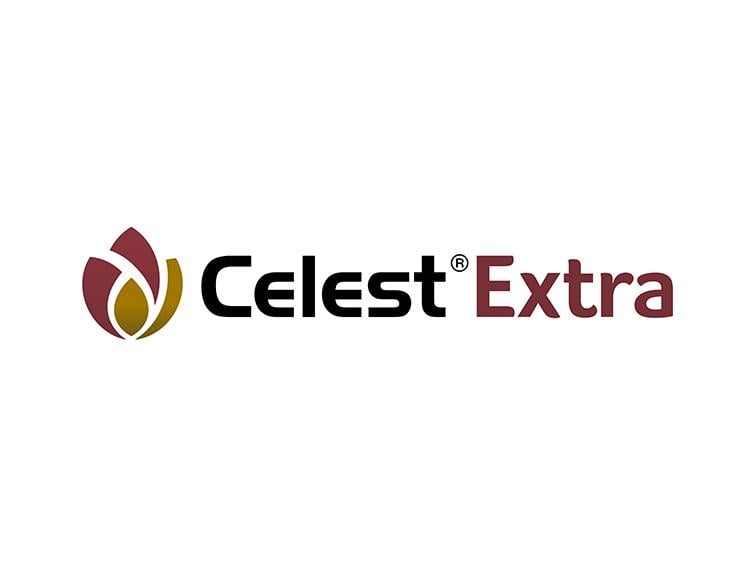 Celest Extra