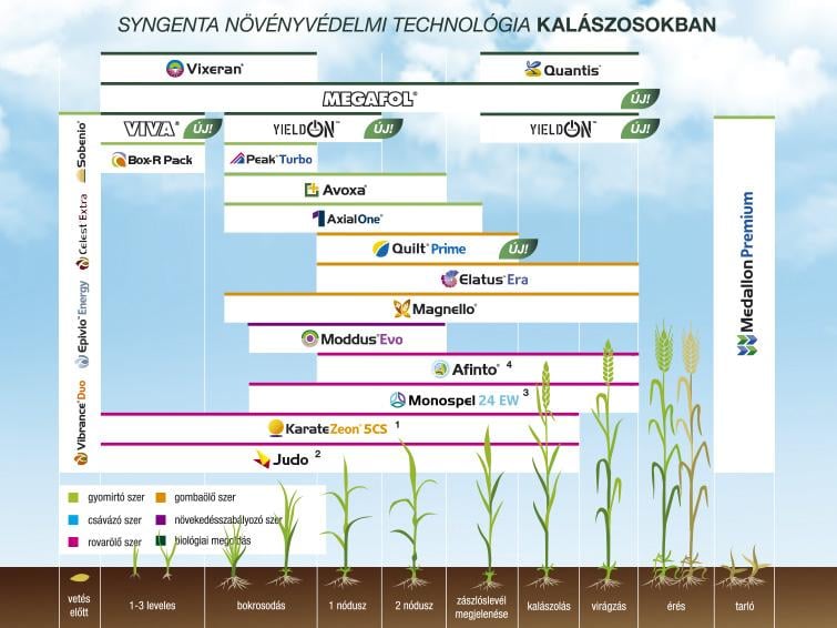 SYNGENTA NÖVÉNYVÉDELMI TECHNOLÓGIA KALÁSZOSOKBAN - 2025