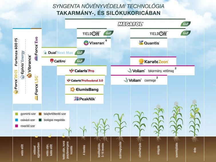 SYNGENTA NÖVÉNYVÉDELMI TECHNOLÓGIA KUKORICÁBAN - 2025