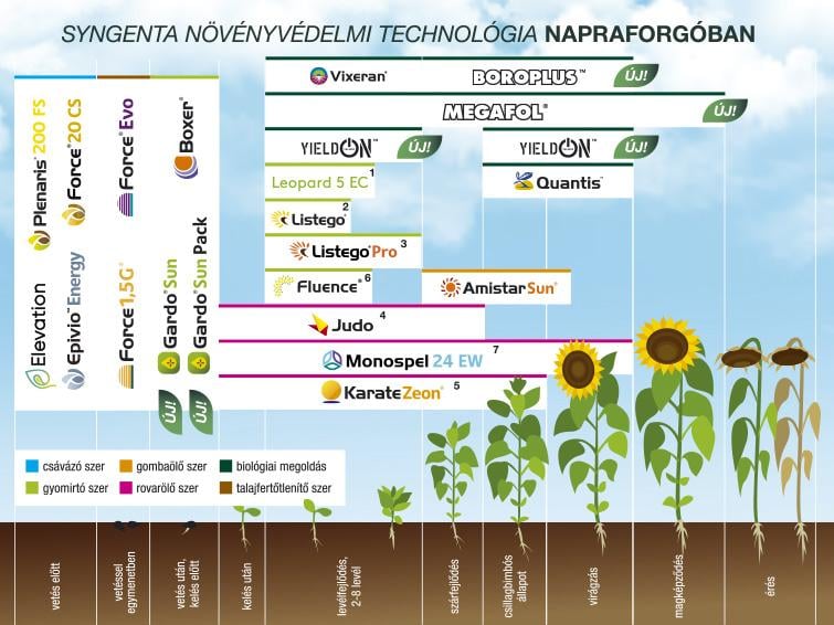 SYNGENTA NÖVÉNYVÉDELMI TECHNOLÓGIA NAPRAFORGÓBAN - 2025