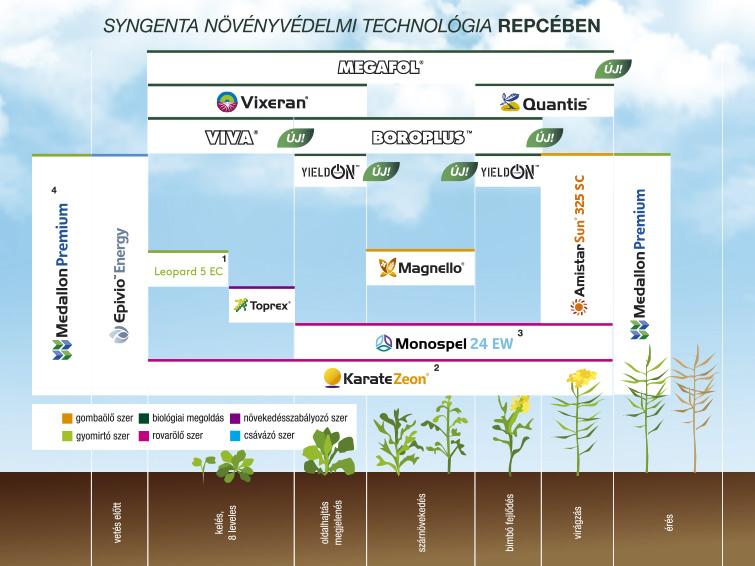 SYNGENTA NÖVÉNYVÉDELMI TECHNOLÓGIA REPCÉBEN - 2025