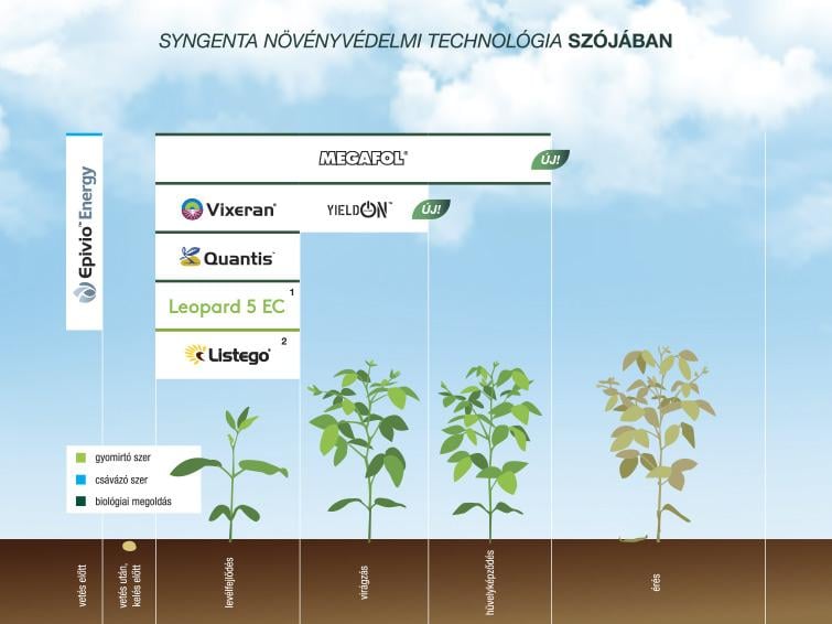 SYNGENTA NÖVÉNYVÉDELMI TECHNOLÓGIA SZÓJÁBAN - 2025