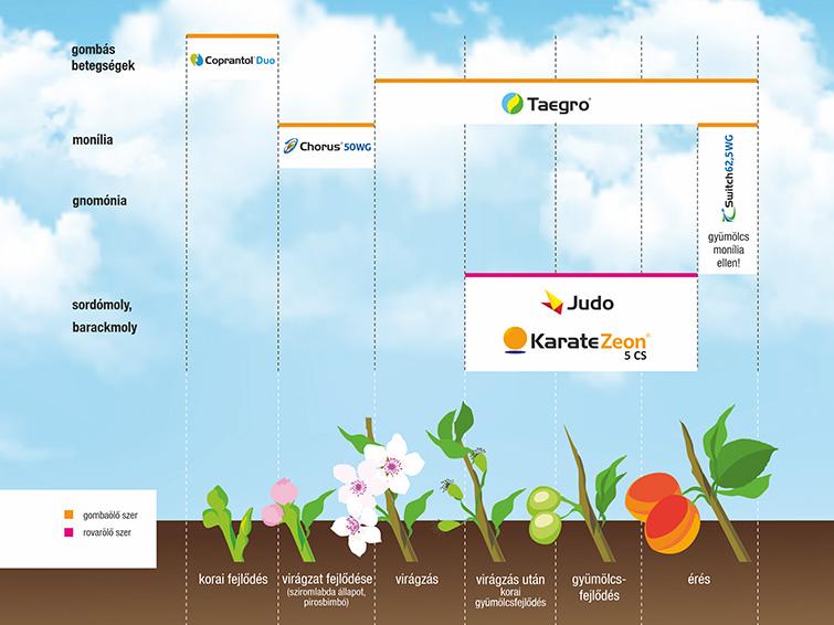 SYNGENTA NÖVÉNYVÉDELMI TECHNOLÓGIA KAJSZIBARACKBAN - 2026