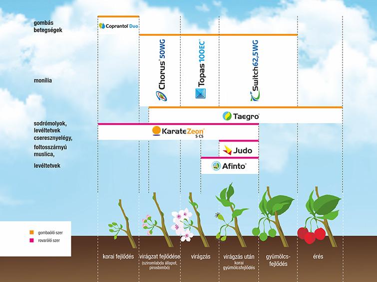 SYNGENTA NÖVÉNYVÉDELMI TECHNOLÓGIA MEGGYBEN ÉS CSERESZNYÉBEN - 2026