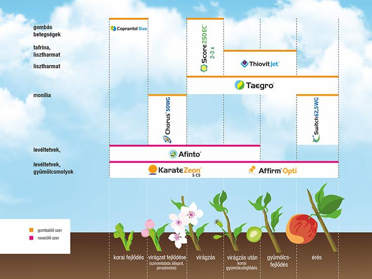 SYNGENTA NÖVÉNYVÉDELMI TECHNOLÓGIA ŐSZIBARACKBAN - 2026