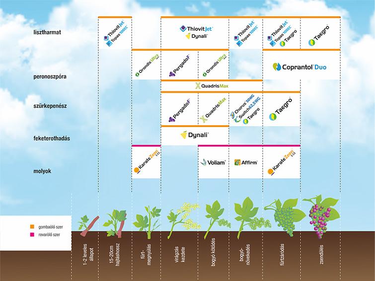 SYNGENTA NÖVÉNYVÉDELMI TECHNOLÓGIA SZŐLŐBEN - 2026