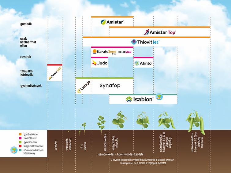 SYNGENTA NÖVÉNYVÉDELMI TECHNOLÓGIA ZÖLDBORSÓBAN - 2026