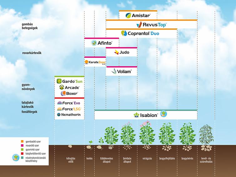SYNGENTA NÖVÉNYVÉDELMI TECHNOLÓGIA BURGONYÁBAN - 2026