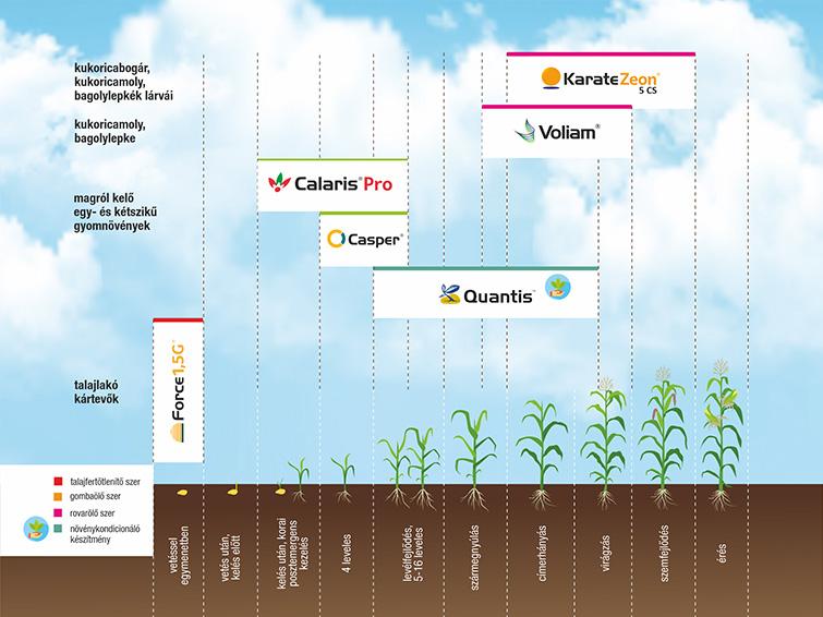 SYNGENTA NÖVÉNYVÉDELMI TECHNOLÓGIA CSEMEGEKUKORICÁBAN - 2026