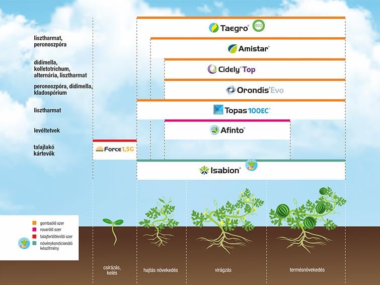 SYNGENTA NÖVÉNYVÉDELMI TECHNOLÓGIA DINNYÉBEN - 2026