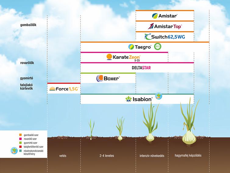 SYNGENTA NÖVÉNYVÉDELMI TECHNOLÓGIA HAGYMÁBAN - 2026