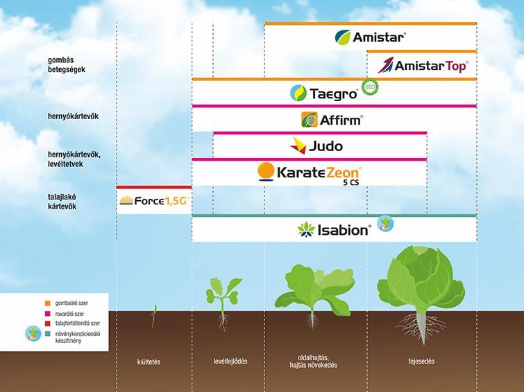 SYNGENTA NÖVÉNYVÉDELMI TECHNOLÓGIA KÁPOSZTÁBAN - 2026