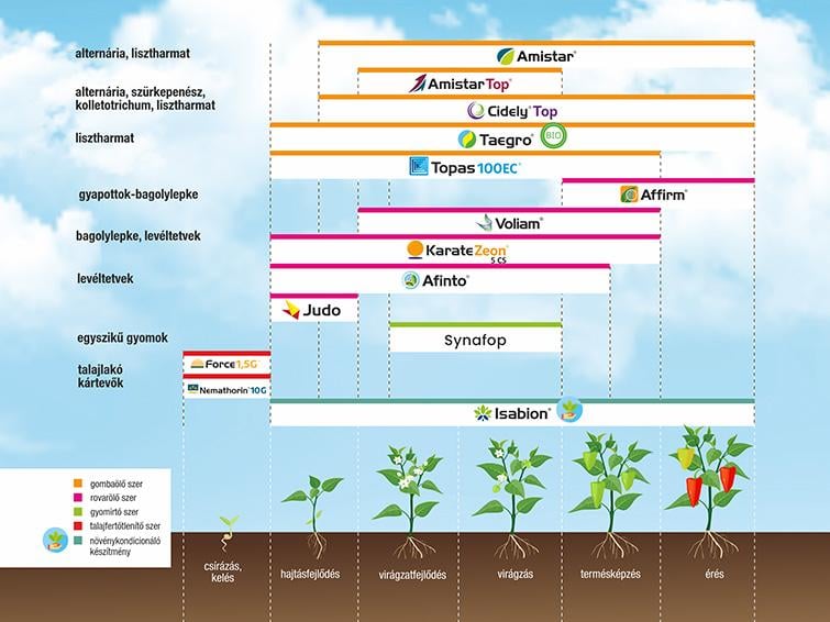 SYNGENTA NÖVÉNYVÉDELMI TECHNOLÓGIA PAPRIKÁBAN - 2026