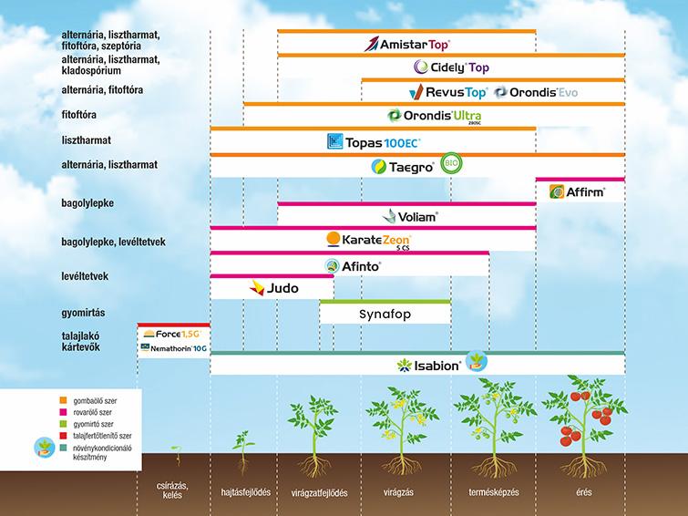 SYNGENTA NÖVÉNYVÉDELMI TECHNOLÓGIA PARADICSOMBAN - 2026