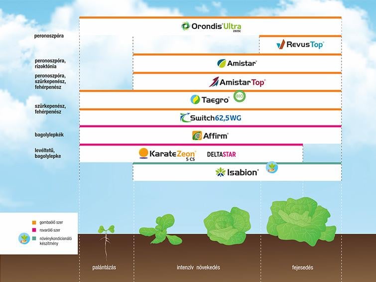 SYNGENTA NÖVÉNYVÉDELMI TECHNOLÓGIA SALÁTÁBAN - 2026