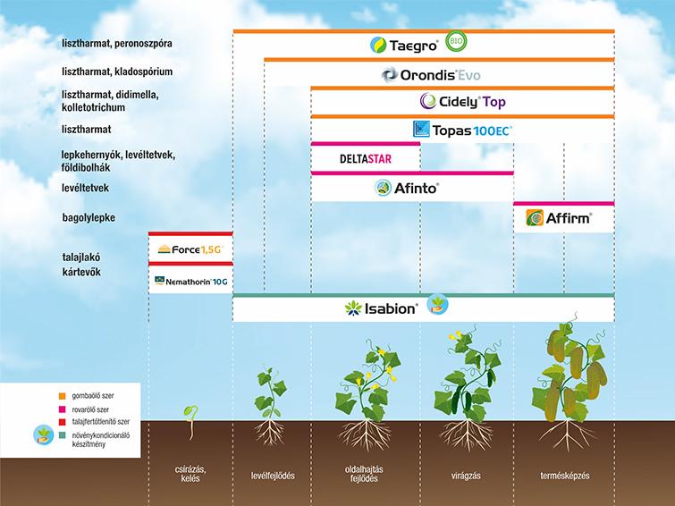SYNGENTA NÖVÉNYVÉDELMI TECHNOLÓGIA UBORKÁBAN - 2026