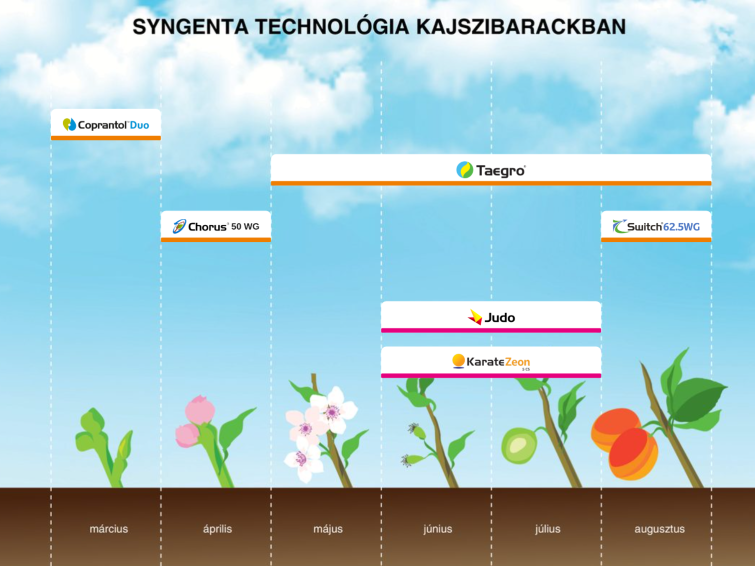 Kajszibarack növényvédelme