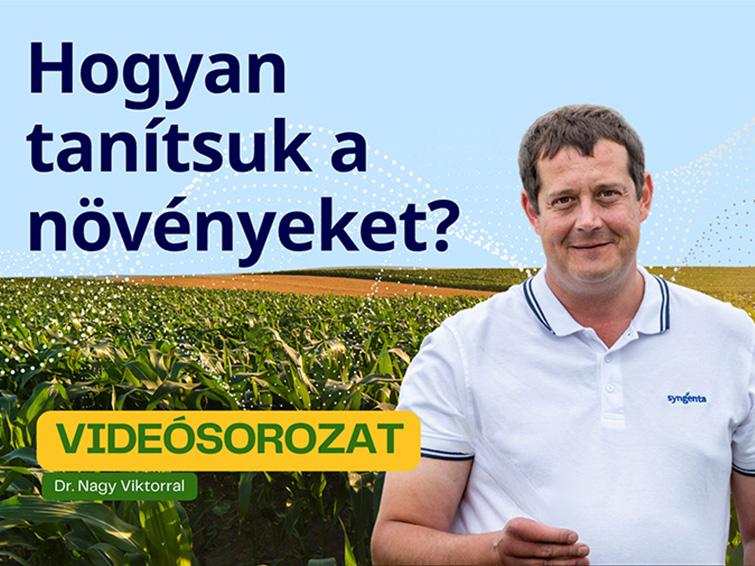 Hogyan tanítsuk a növényeket?