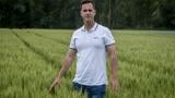 Krupp KristófSyngenta, kalászos vetőmag kampánymenedzser