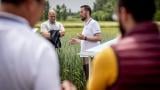 Varga ZoltánSyngenta, kalászos növényvédelmi termékfelelős