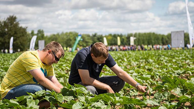 Syngenta filozófia