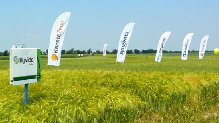 Syngenta Hyvido