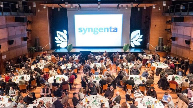 Sivatagban is tesztelt szárazságtűrő kukoricát hozott a magyar piacra a Syngenta