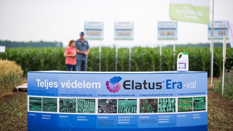 Syngenta Szer-show