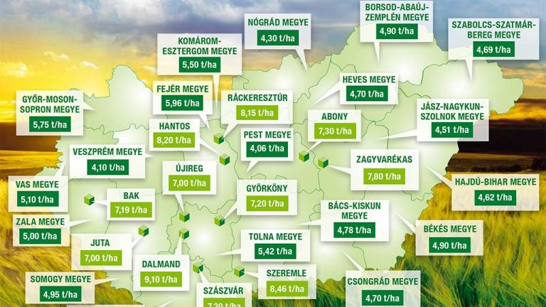 Hyvido terméseredmény 2018