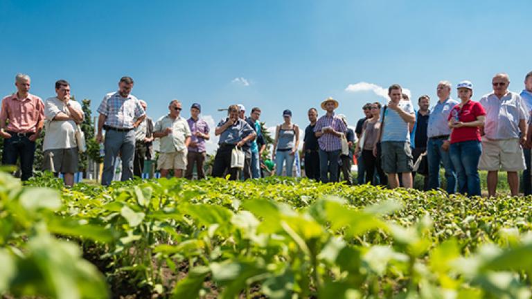 Syngenta Utalvány beváltóhelyek listája